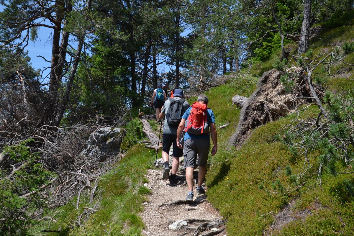 Tschafon - Voelseggspitze 28.06.2021